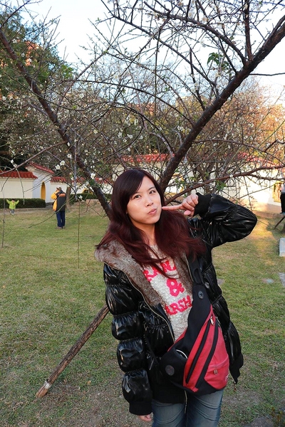 士林志成公園：【台北景點】台北賞梅好去處~士林志成公園賞梅秘境