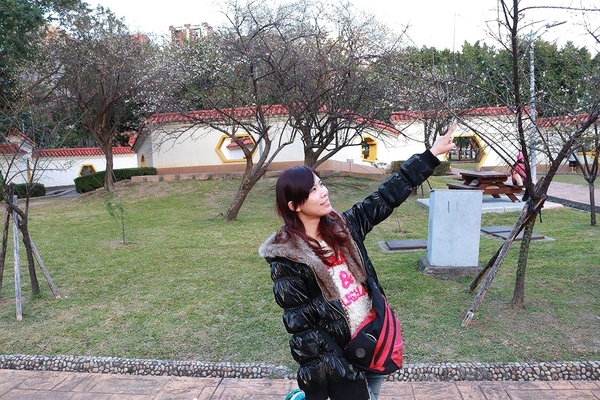 士林志成公園：【台北景點】台北賞梅好去處~士林志成公園賞梅秘境
