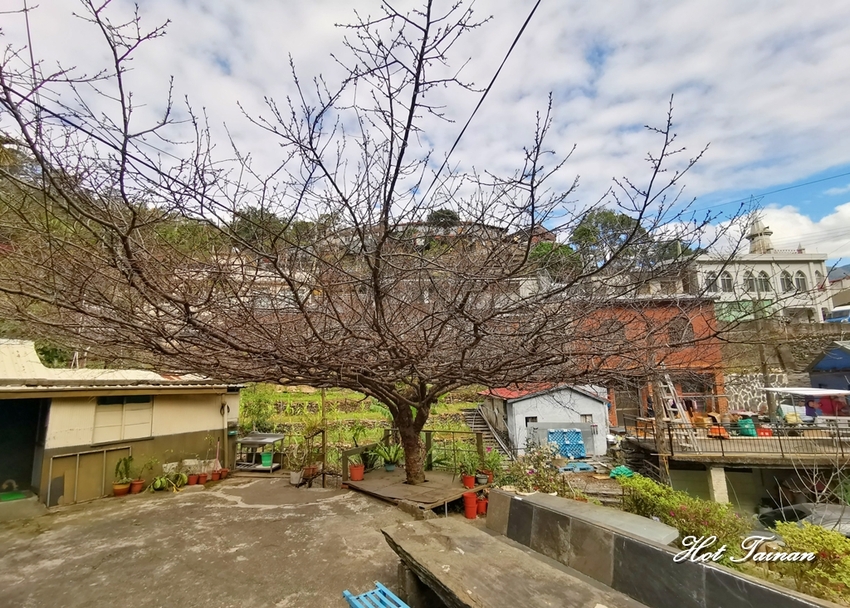 【屏東霧台】霧台鄉觀光護照，輕鬆暢遊霧台二日遊沒煩惱！霧台吃美食住民宿必看~ - 熱血玩台南。跳躍新世界