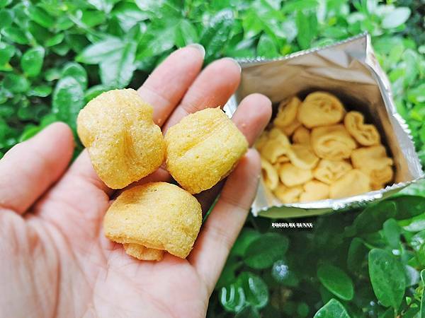 PICNIC_20201015_120319295_調整大小