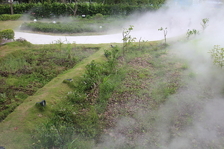 IMG_0779.jpg IMG_0779.jpg