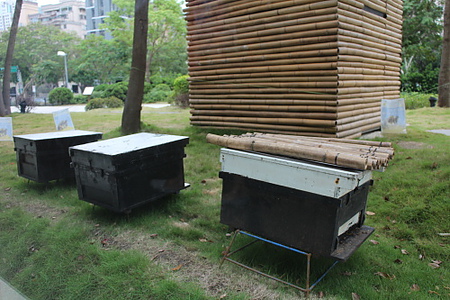 IMG_0780.jpg IMG_0780.jpg