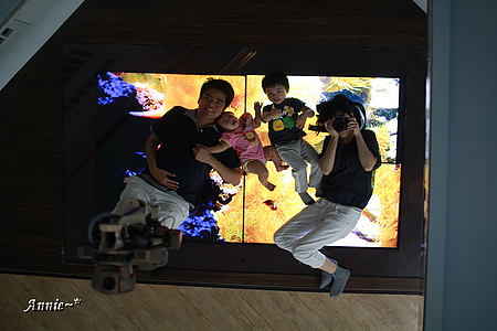 IMG_3347.JPG IMG_3347.JPG