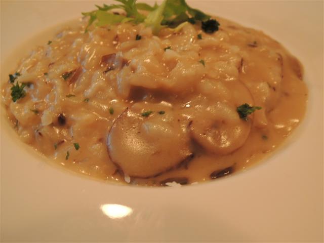 DSCN6973.JPG DSCN6973.JPG