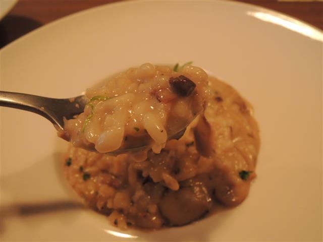 DSCN6976.JPG DSCN6976.JPG