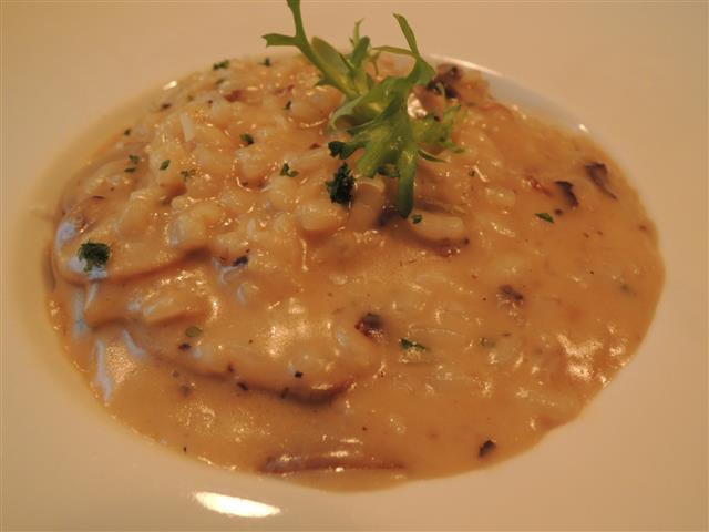 DSCN6972.JPG DSCN6972.JPG