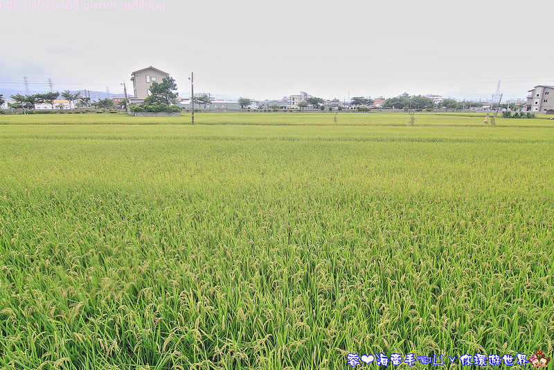 【宿▍宜蘭】水岸楓林民宿♥讓人置身於國外，南洋峇里島渡假風的浪漫享受
