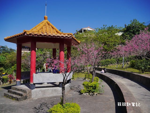 櫻花公園賞櫻