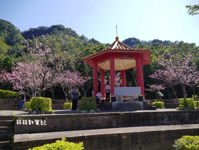 櫻花公園賞櫻