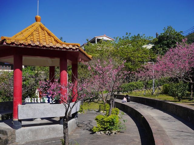 櫻花公園賞櫻