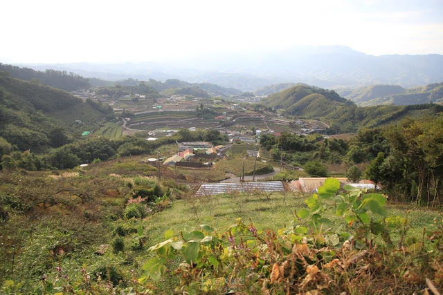 上山回家旅宿-18