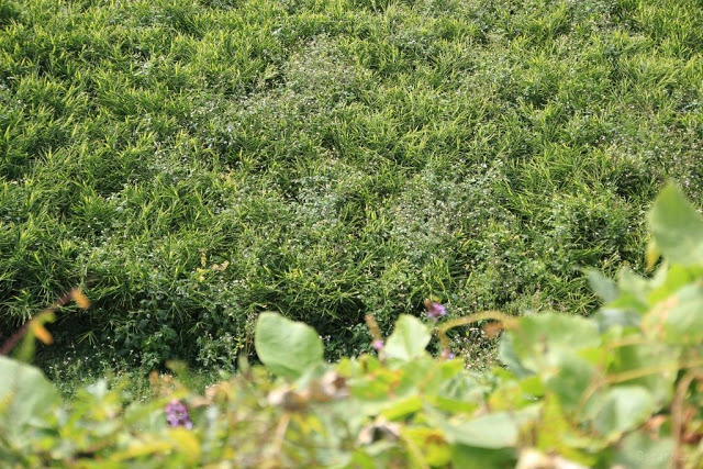 上山回家旅宿-10