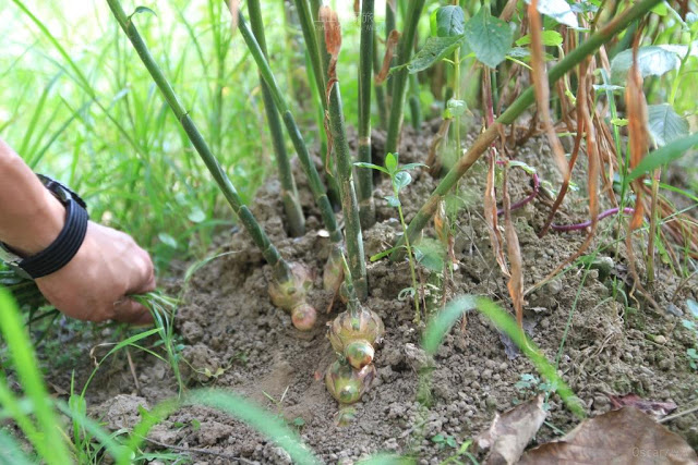 上山回家旅宿-13