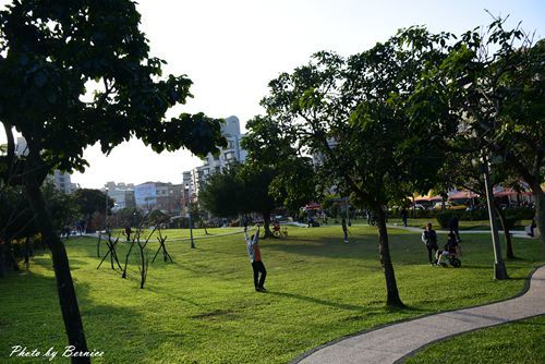 0131 1-樂活櫻花08.jpg