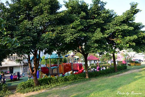 0131 1-樂活櫻花09.jpg