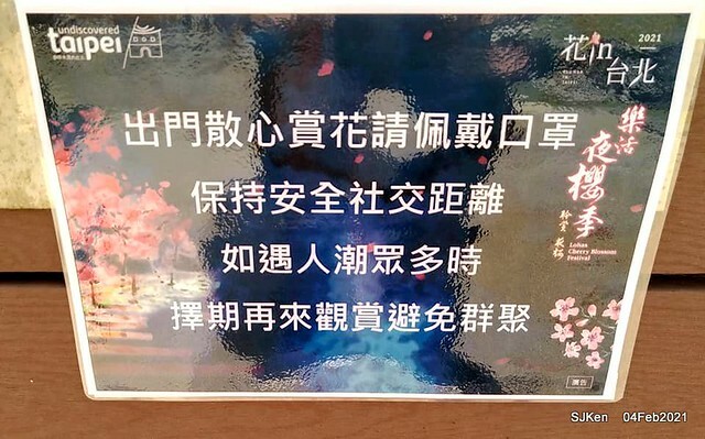 Cherry blossoms at 東湖樂活公園, Taipei, Taiwan,SJKen, Feb 4, 2021.