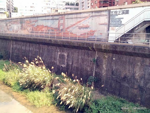 Cherry blossoms at 東湖樂活公園, Taipei, Taiwan,SJKen, Feb 4, 2021.