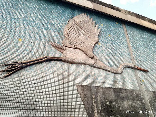 Cherry blossoms at 東湖樂活公園, Taipei, Taiwan,SJKen, Feb 4, 2021.