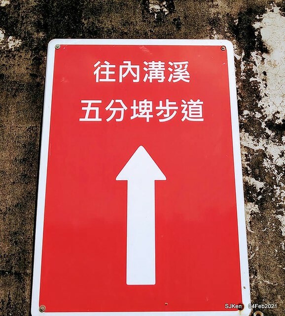 Cherry blossoms at 東湖樂活公園, Taipei, Taiwan,SJKen, Feb 4, 2021.