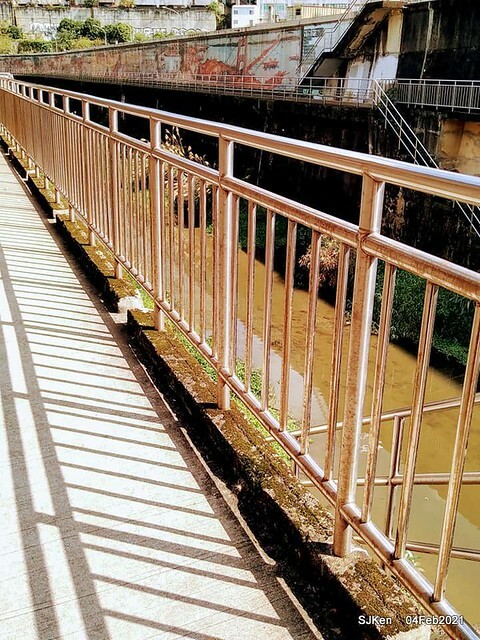 Cherry blossoms at 東湖樂活公園, Taipei, Taiwan,SJKen, Feb 4, 2021.