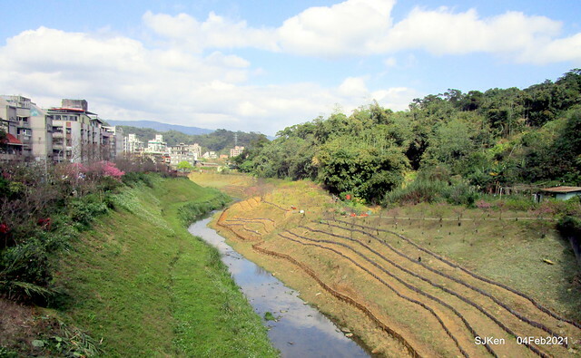 Cherry blossoms at 東湖樂活公園, Taipei, Taiwan,SJKen, Feb 4, 2021.