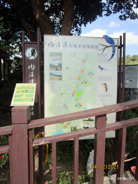 Cherry blossoms at 東湖樂活公園, Taipei, Taiwan,SJKen, Feb 4, 2021.