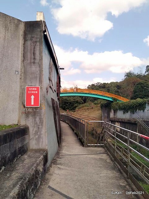Cherry blossoms at 東湖樂活公園, Taipei, Taiwan,SJKen, Feb 4, 2021.
