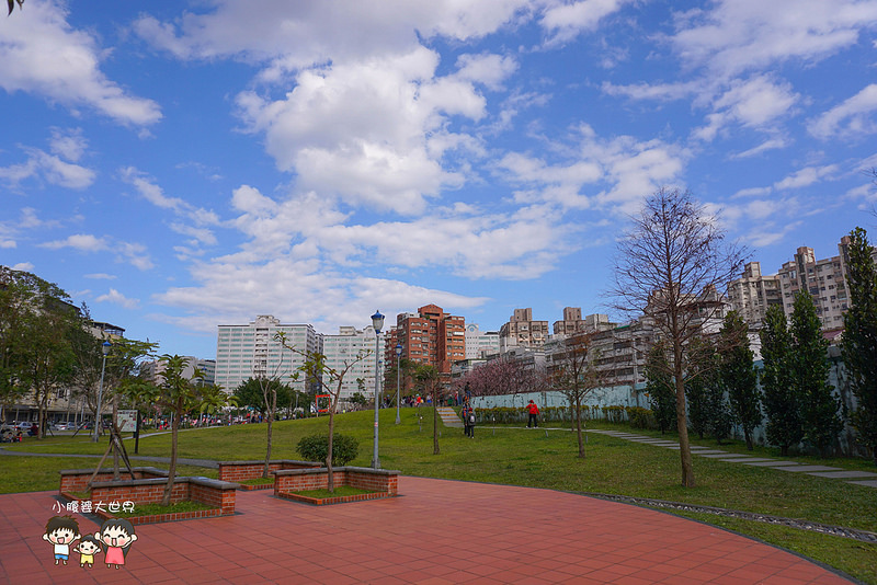 台北櫻花秘境 002