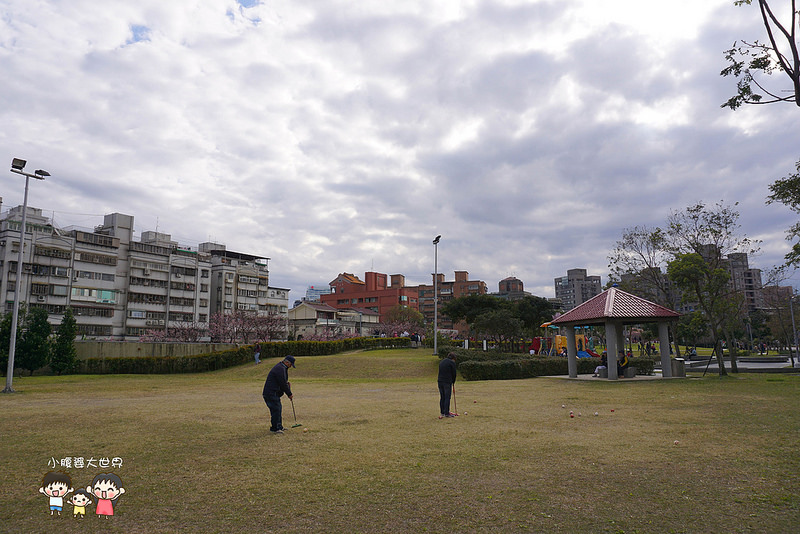 台北櫻花秘境 062