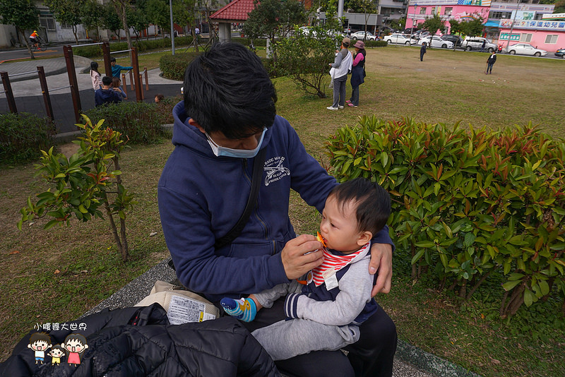 台北櫻花秘境 024