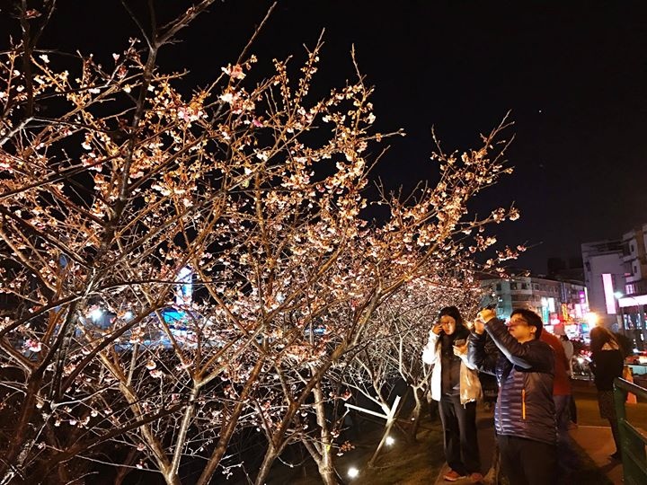 16716222_1053963298041375_3437627647948694032_o