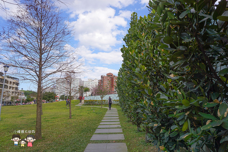 台北櫻花秘境 004