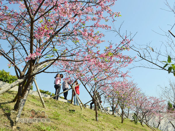 東湖樂活公園21-內溝溪畔步道朝上一景