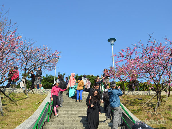 東湖樂活公園17-櫻花步道土坡的階梯