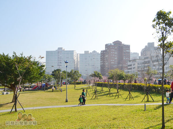 東湖樂活公園03-腹地算是中型的公園