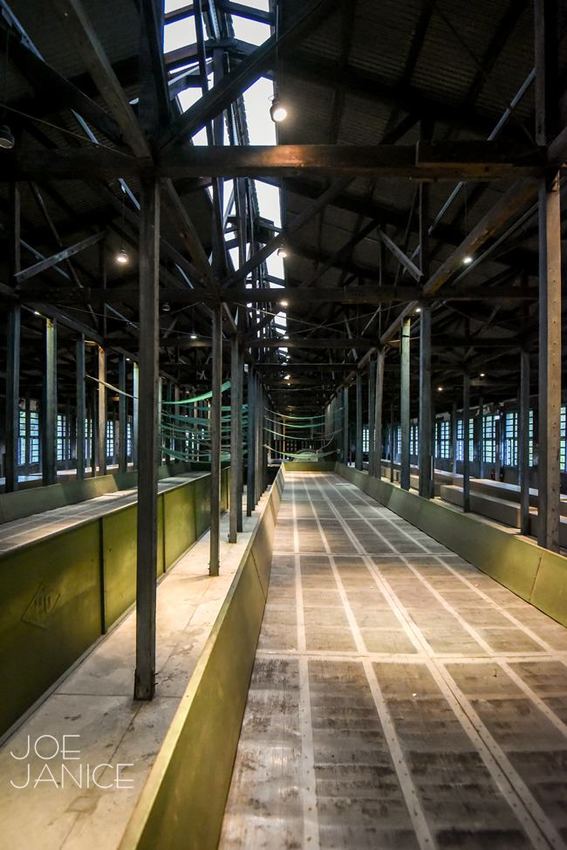 大溪景點【大溪老茶廠】老工廠老故事 舊回憶新未來 - 潔妮食旅生活