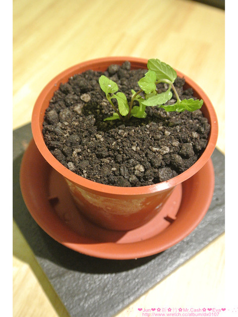 Mr. cash：【食記】oO。。新竹　Mr.Cash蜜糖吐司　什麼？！蜜糖吐司也不忘了Candy Crush，超可愛的kitty蜜糖吐司，大家吃過了嘛？！而且還有可愛的拉花kitty咖啡喲～。o○。