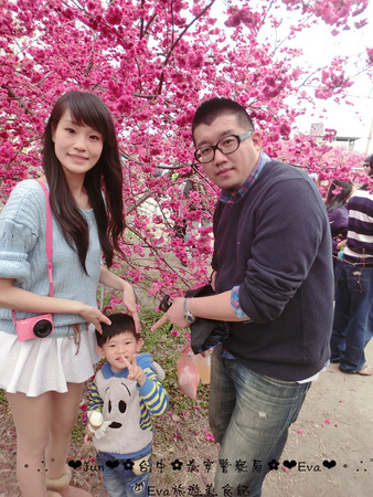 泰安派出所:【遊記】oO。台中 后里 泰安警察局 2015年櫻花 全台最美的警察局~大家來朝聖過了嗎?!。o○。 泰安派出所:【遊記】oO。台中 后里 泰安警察局 2015年櫻花 全台最美的警察局~大家來朝聖過了嗎?!。o○。