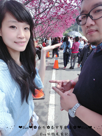 泰安派出所:【遊記】oO。台中 后里 泰安警察局 2015年櫻花 全台最美的警察局~大家來朝聖過了嗎?!。o○。 泰安派出所:【遊記】oO。台中 后里 泰安警察局 2015年櫻花 全台最美的警察局~大家來朝聖過了嗎?!。o○。