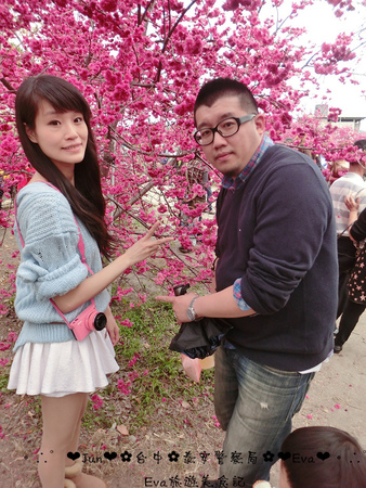 泰安派出所:【遊記】oO。台中 后里 泰安警察局 2015年櫻花 全台最美的警察局~大家來朝聖過了嗎?!。o○。 泰安派出所:【遊記】oO。台中 后里 泰安警察局 2015年櫻花 全台最美的警察局~大家來朝聖過了嗎?!。o○。