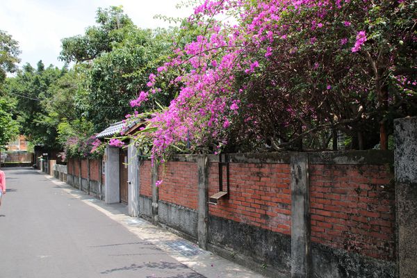 321巷藝術聚落: 【台南北區景點】321巷藝術聚落~隱若現的房子摩登又前衛、老舍復古風格藝術照、貓咪裝置藝術超逗趣、利用環保變魔術