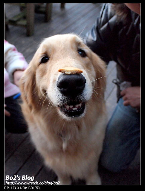 2011台南食記-東山大鋤花間生態休閒農場
