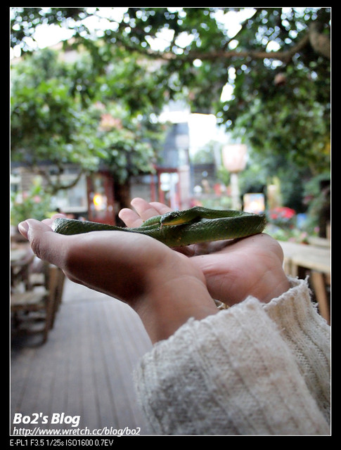 2011台南食記-東山大鋤花間生態休閒農場