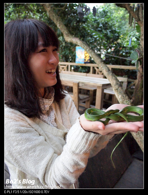2011台南食記-東山大鋤花間生態休閒農場