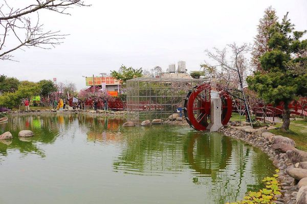 芬園花卉生產休憩園區：【彰化景點】芬園花卉休憩園區~櫻花園區/夜櫻賞櫻花綺麗夢2/11~3/15的賞花園區
