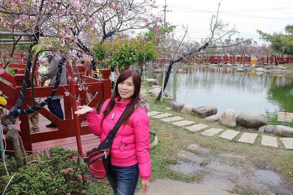 芬園花卉生產休憩園區：【彰化景點】芬園花卉休憩園區~櫻花園區/夜櫻賞櫻花綺麗夢2/11~3/15的賞花園區