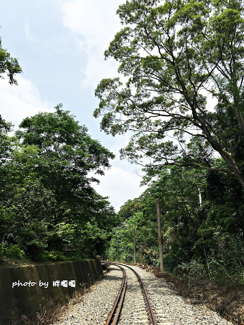 【苗栗 三義】漫時光咖啡☆★在唯美小屋用餐，渡過慢時光★☆5月順便賞油桐花(賞桐秘境)