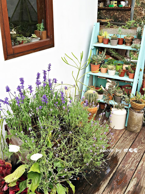 【苗栗 三義】漫時光咖啡☆★在唯美小屋用餐，渡過慢時光★☆5月順便賞油桐花(賞桐秘境)