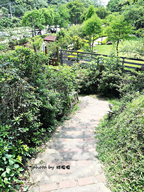 【苗栗 三義】漫時光咖啡☆★在唯美小屋用餐，渡過慢時光★☆5月順便賞油桐花(賞桐秘境)