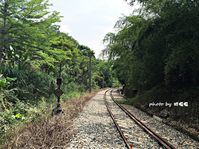 【苗栗 三義】漫時光咖啡☆★在唯美小屋用餐，渡過慢時光★☆5月順便賞油桐花(賞桐秘境)